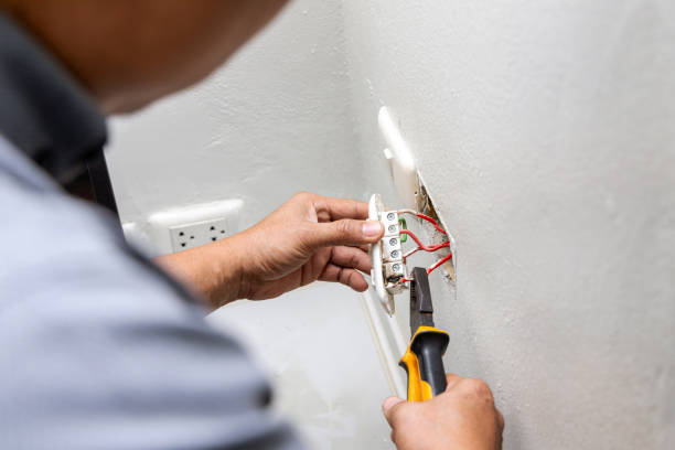 Best Electric Panel Repair  in Defiance, OH